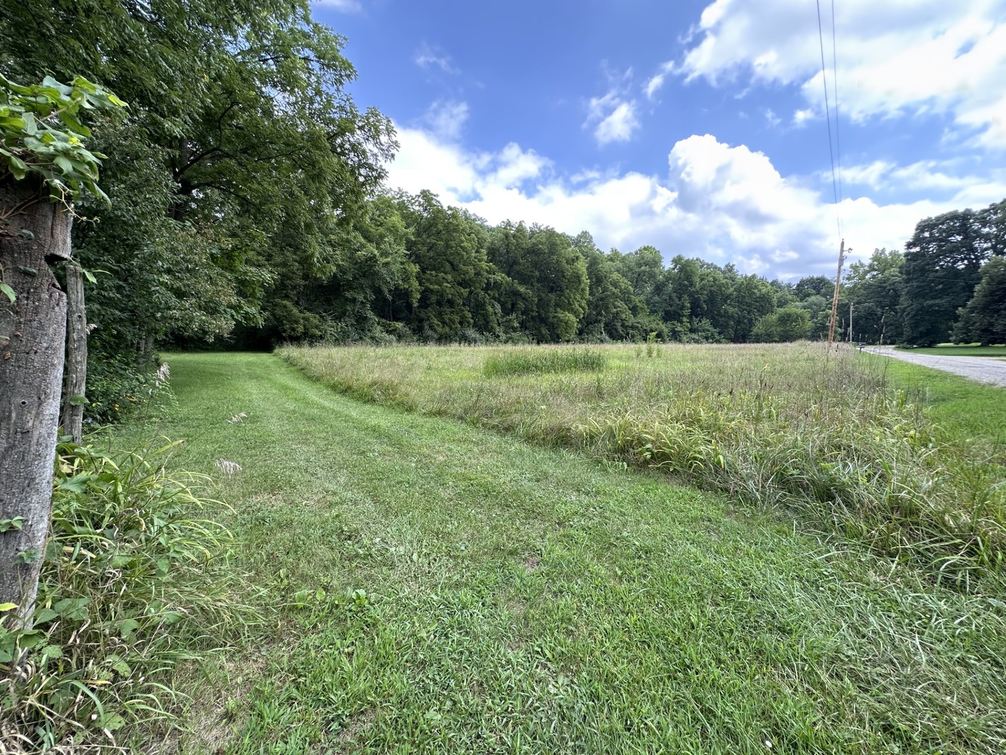 895 Thenius Road Property Photo 20
