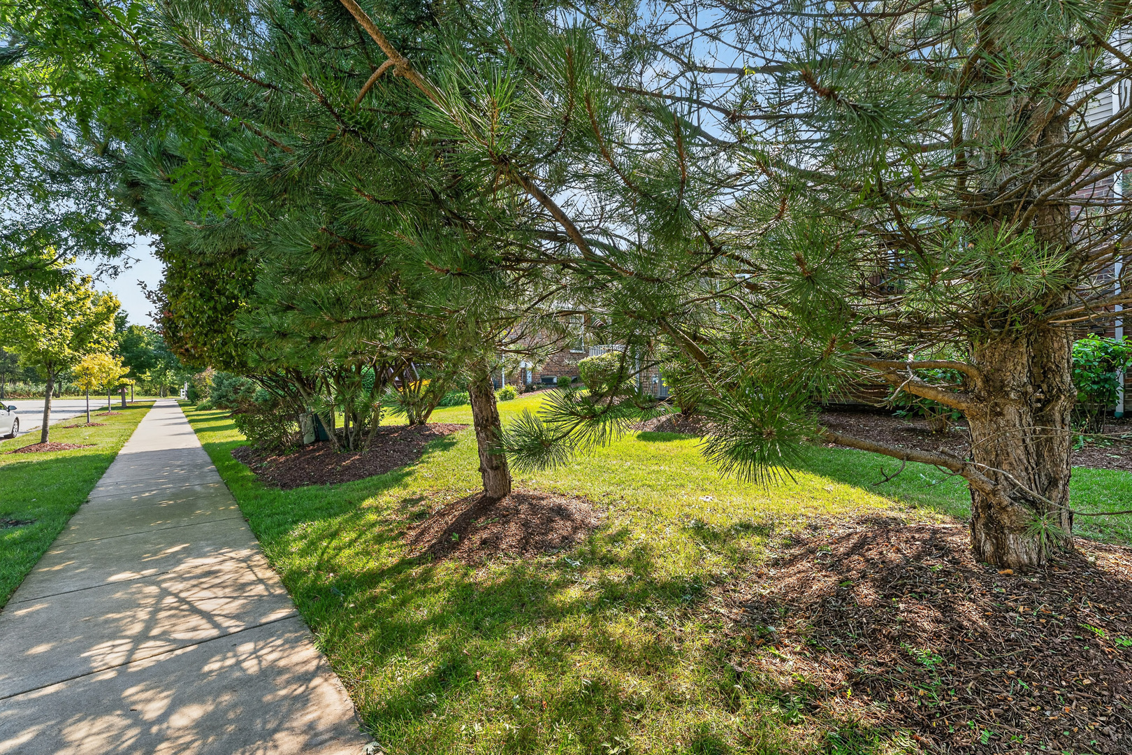 16525 Timber Trail Property Photo 49