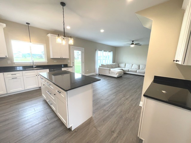24509 S Saint Paul Avenue Property Photo 9