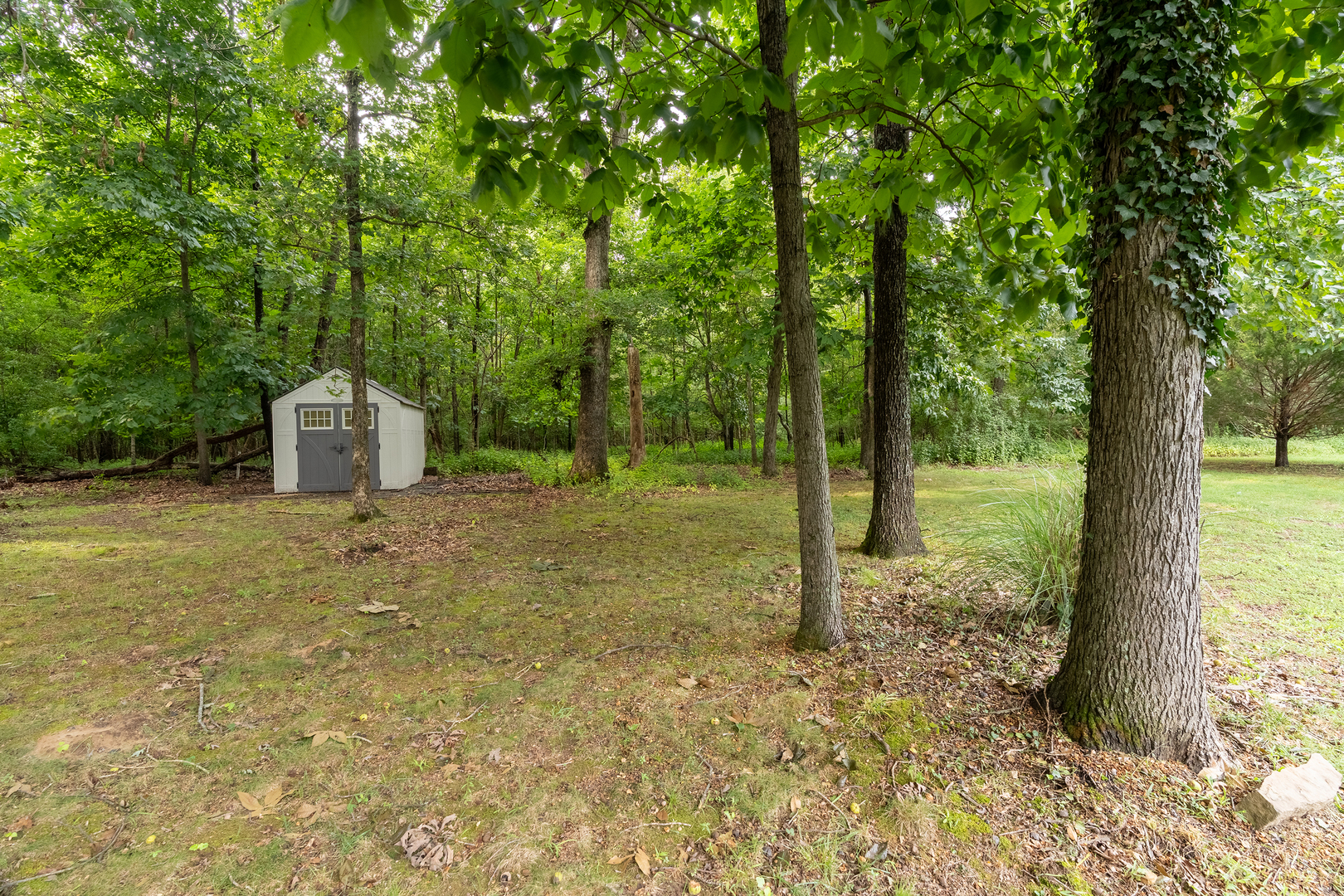 1904 Spring Garden Road Property Photo 4