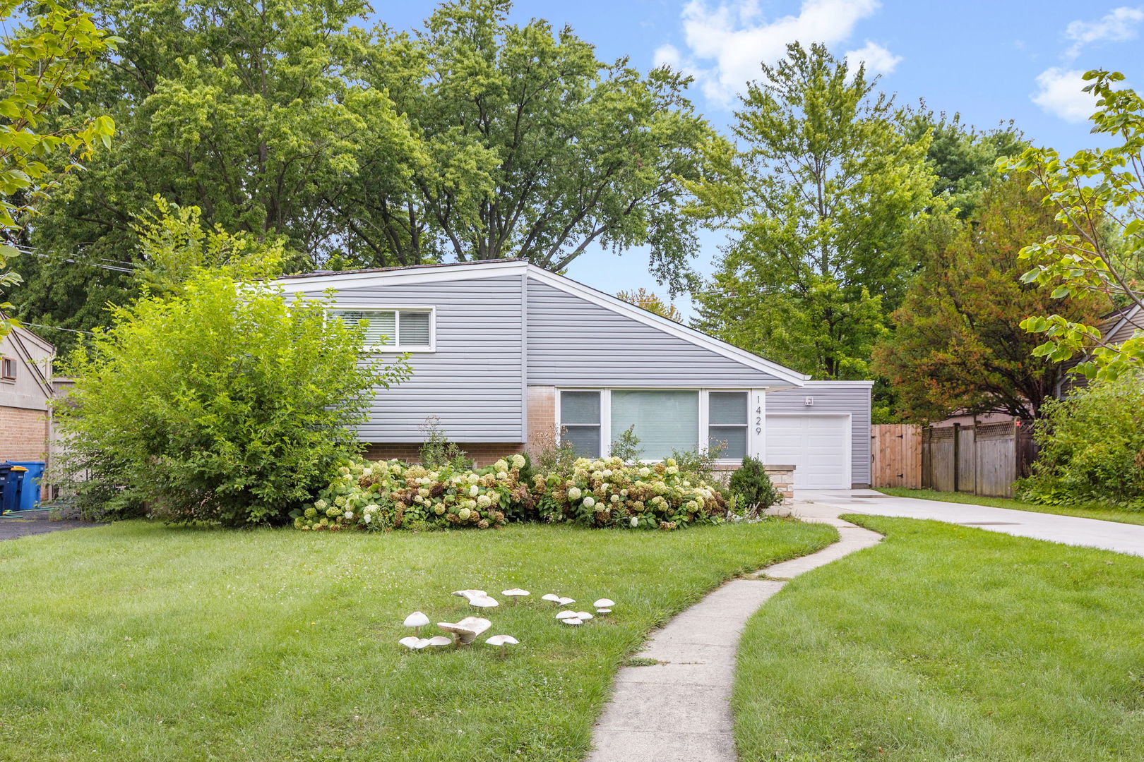 12726812 Property Photo 2