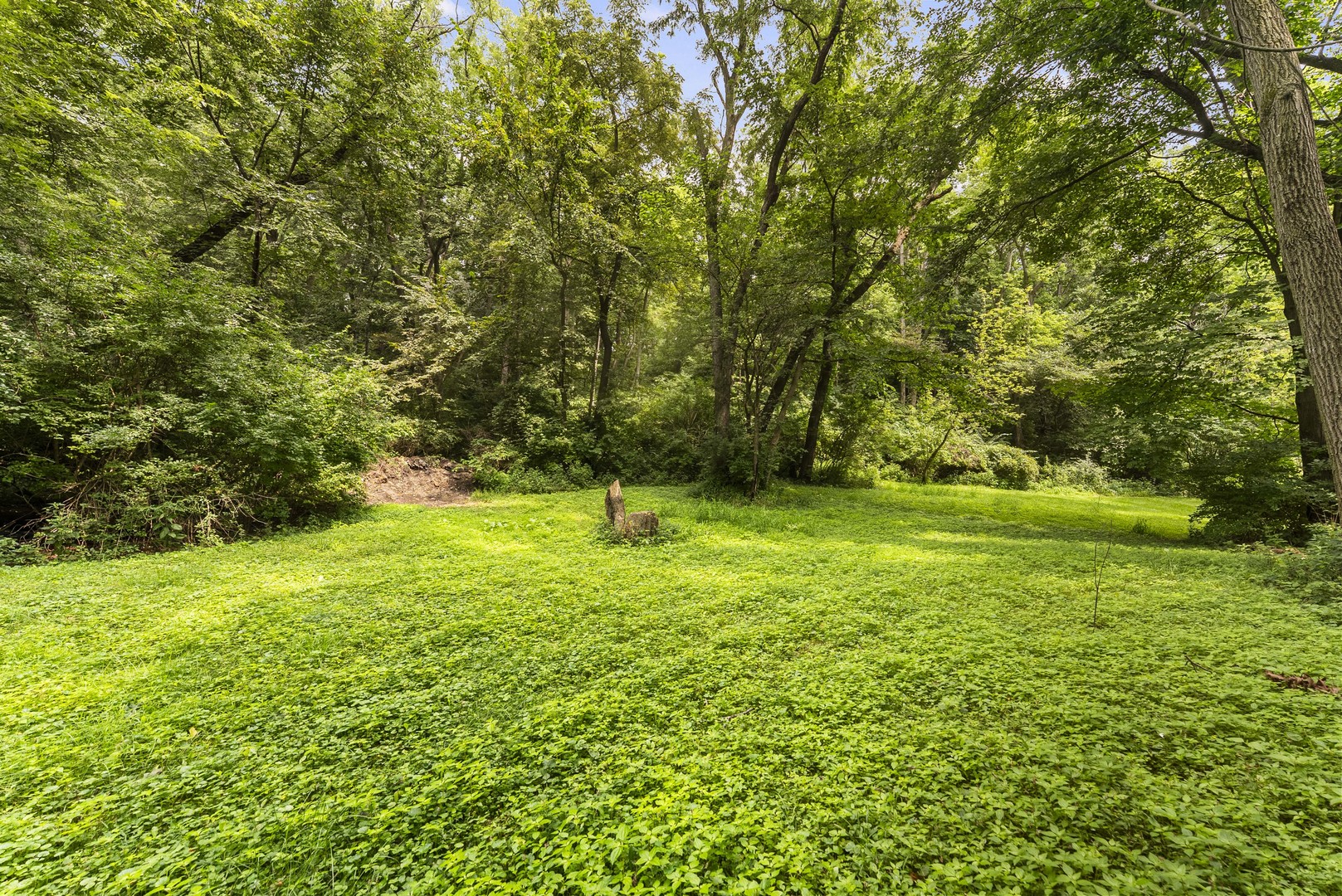 2260 Tara Lane Property Photo 53