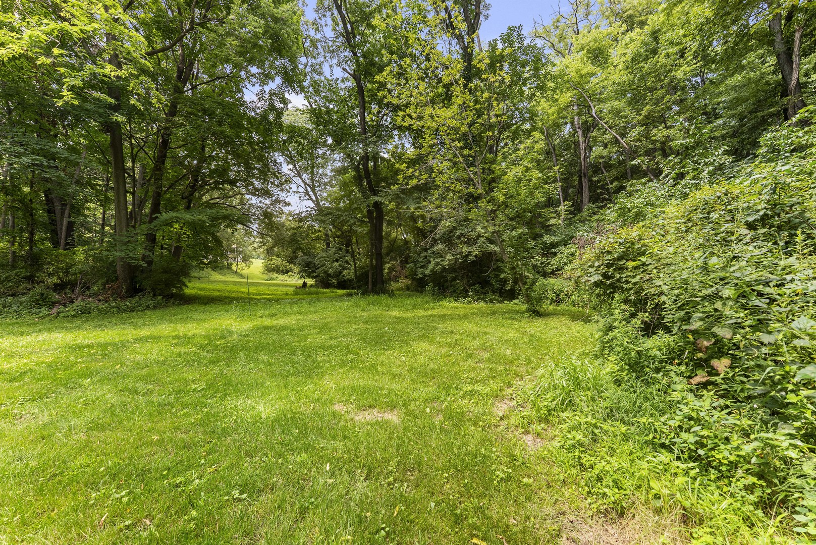 2260 Tara Lane Property Photo 56