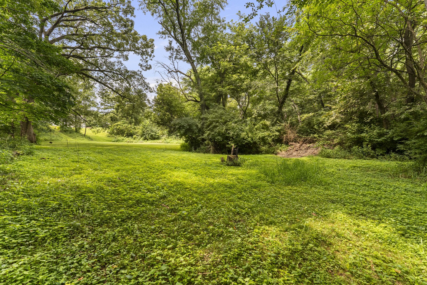 2260 Tara Lane Property Photo 57
