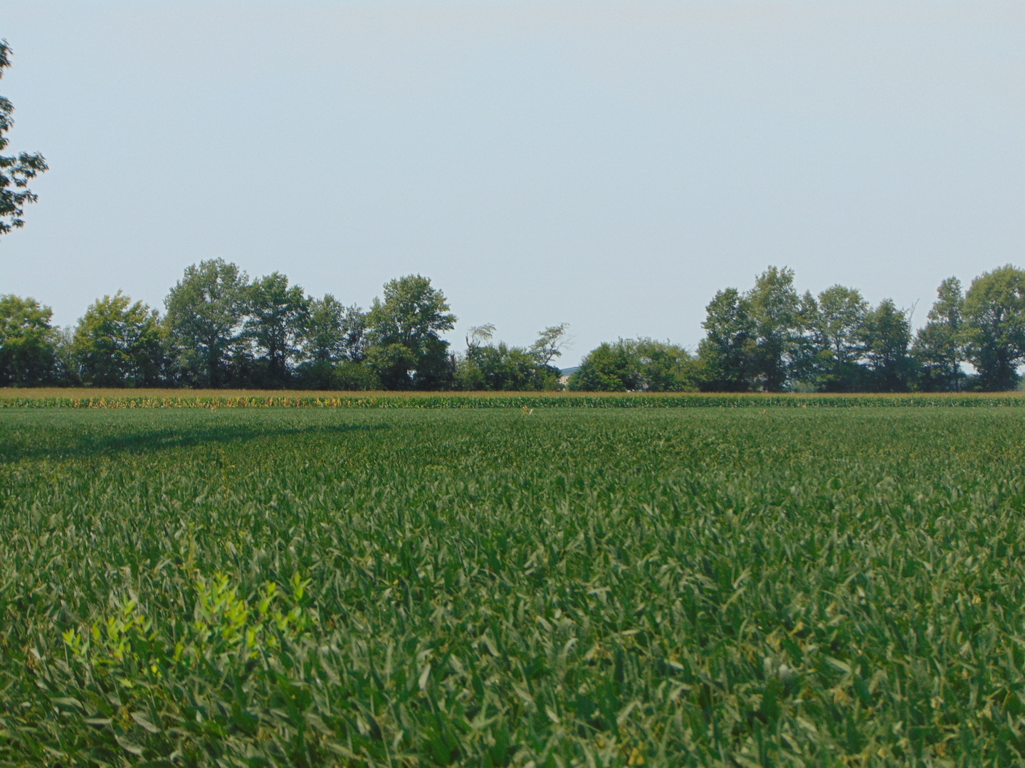 0000 State Route 14 Highway Property Photo 2