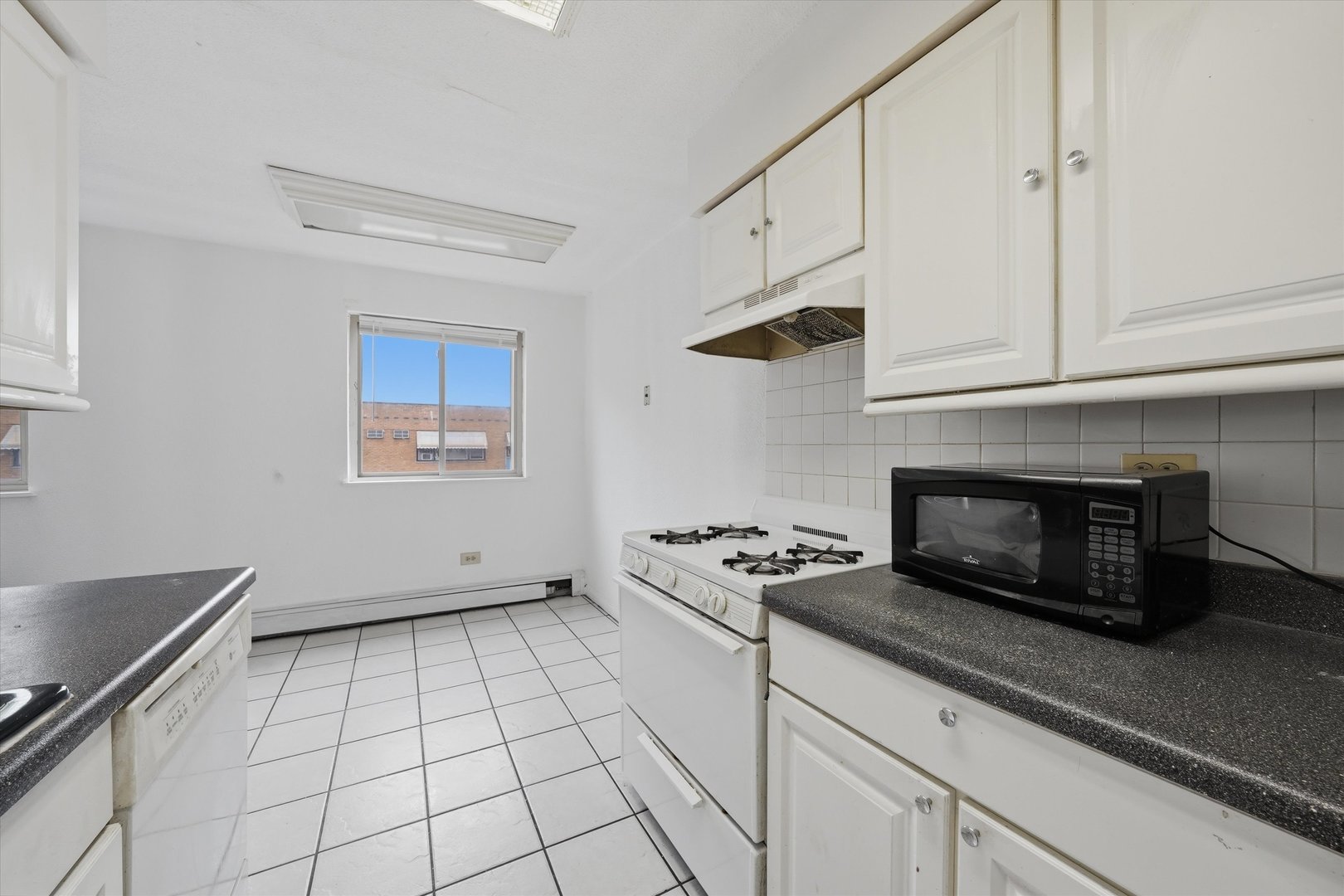 8343 S King Drive 3b Property Photo 5