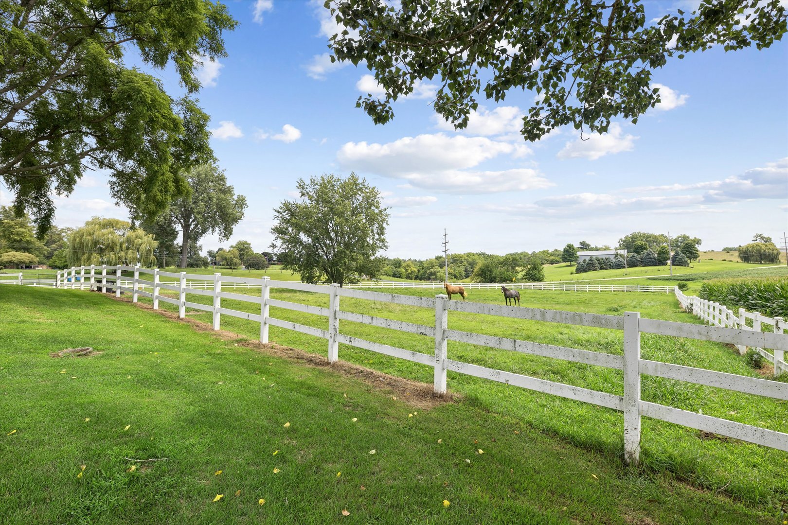 12433 Prairie Center Road Property Photo 17