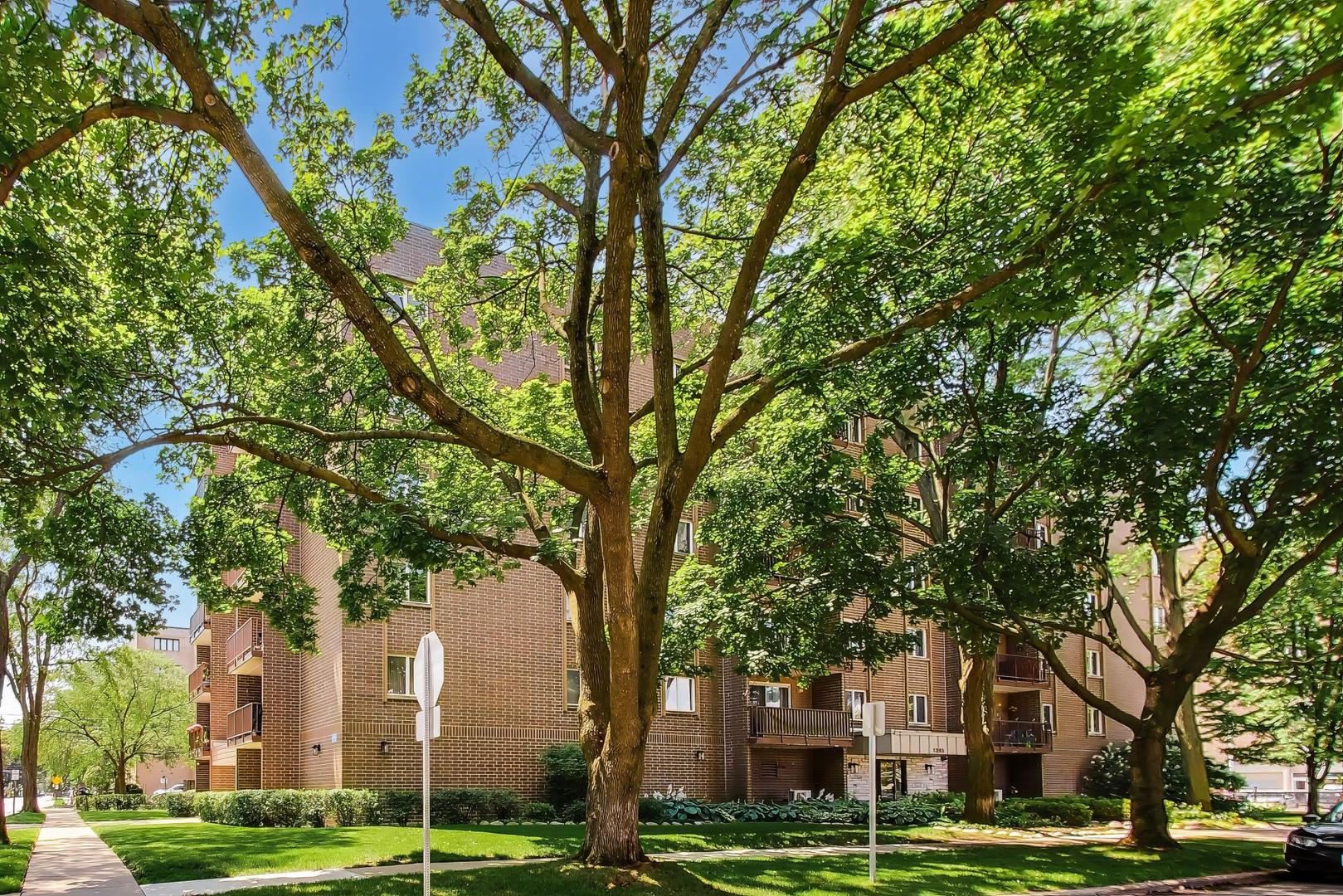 1365 Ashland Avenue 501 Property Photo 2