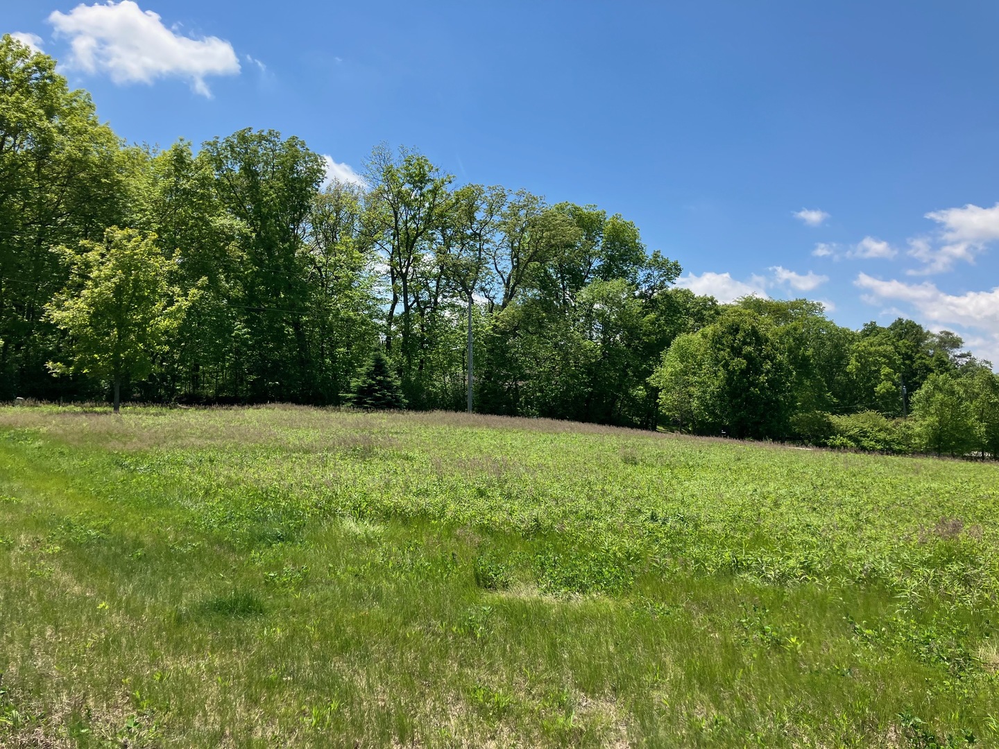 2801 N Brickhouses Road Property Photo 2