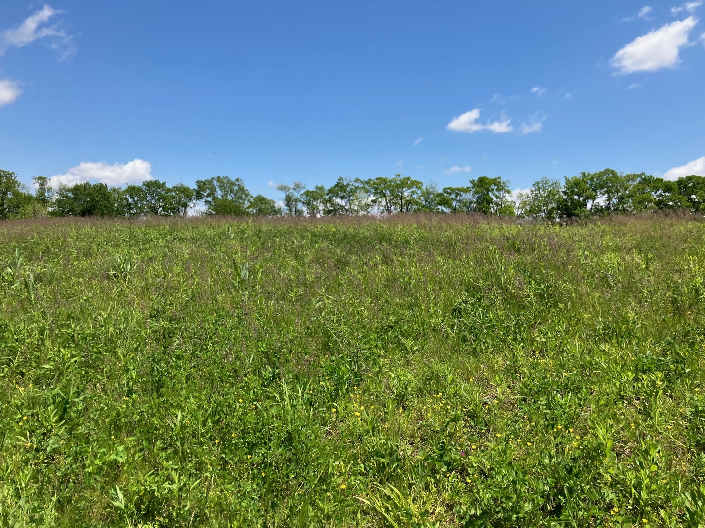 2801 N Brickhouses Road Property Photo 6