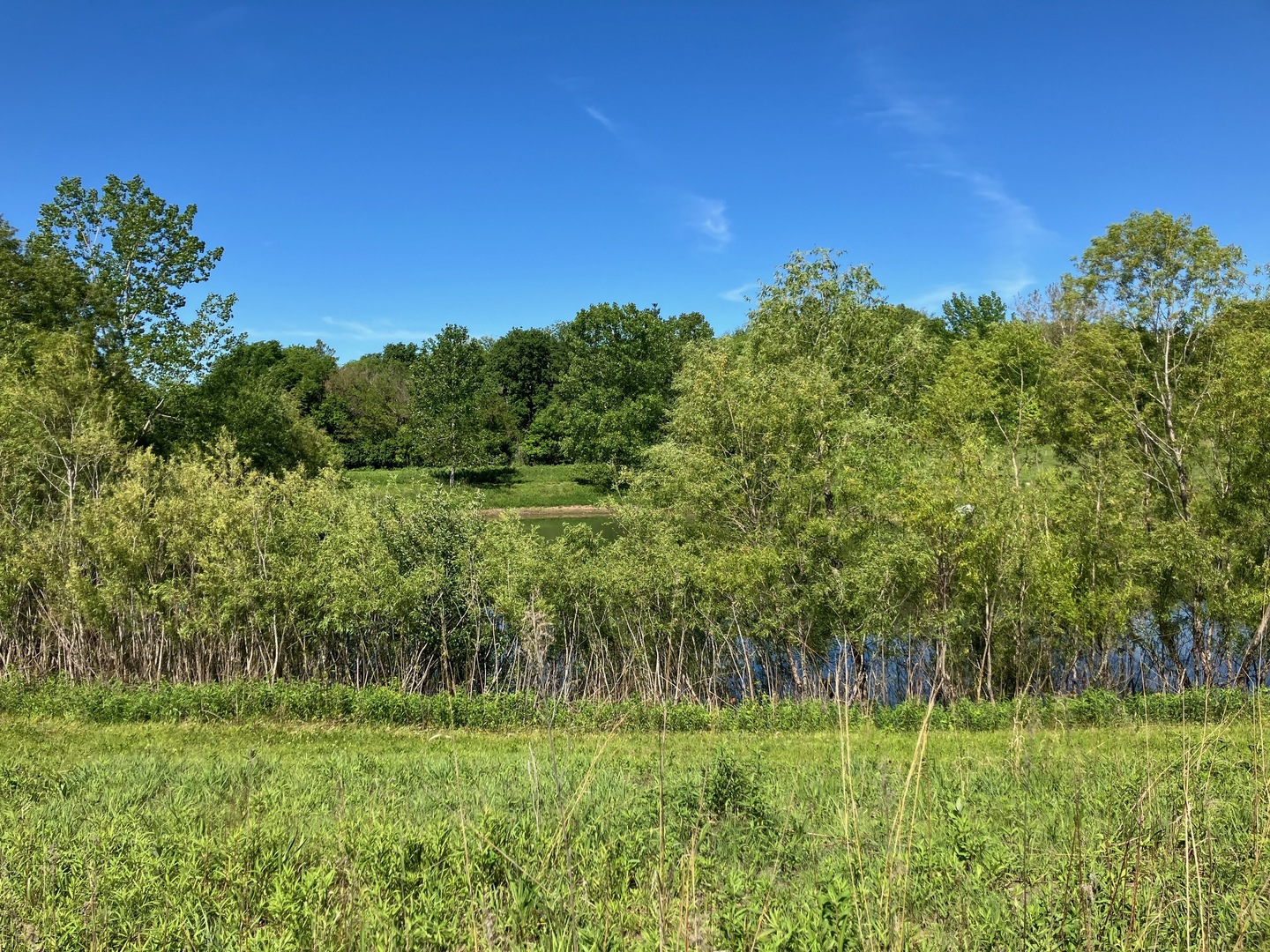 2801 N Brickhouses Road Property Photo 7