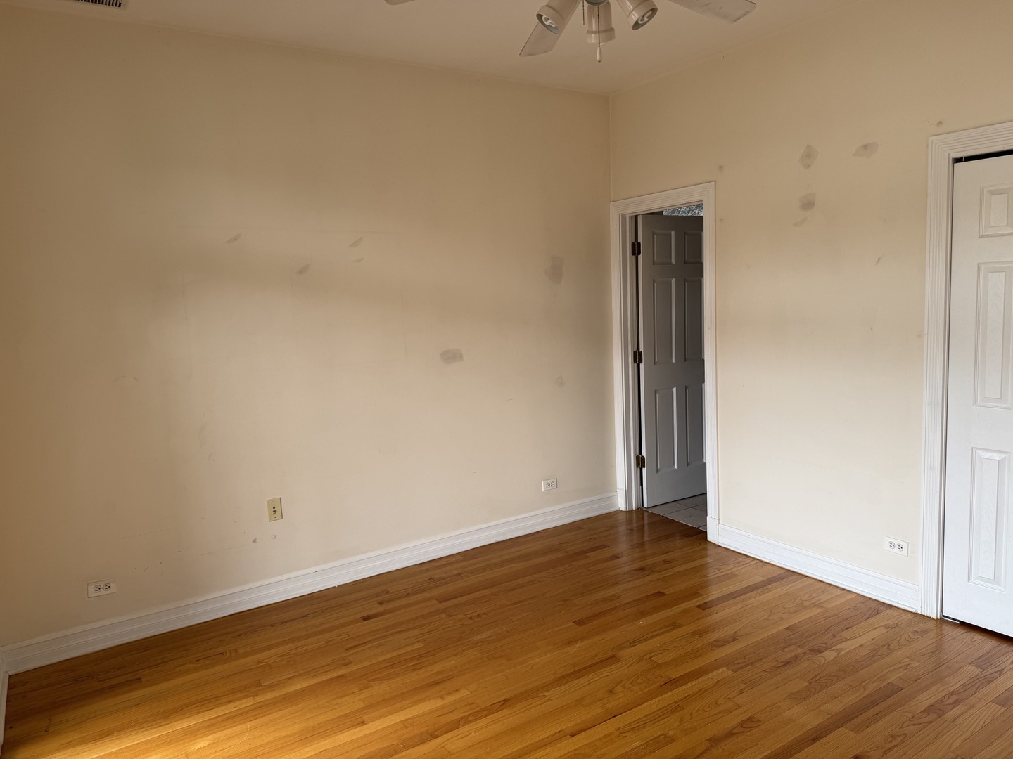 2645 W Haddon Avenue 1 Property Photo 15