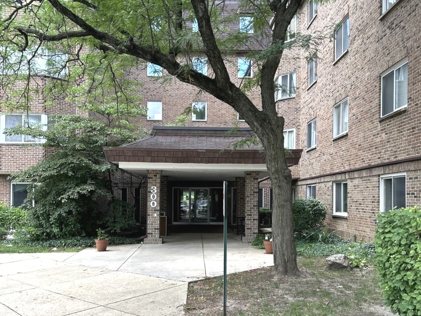 300 Roselle Road 419
