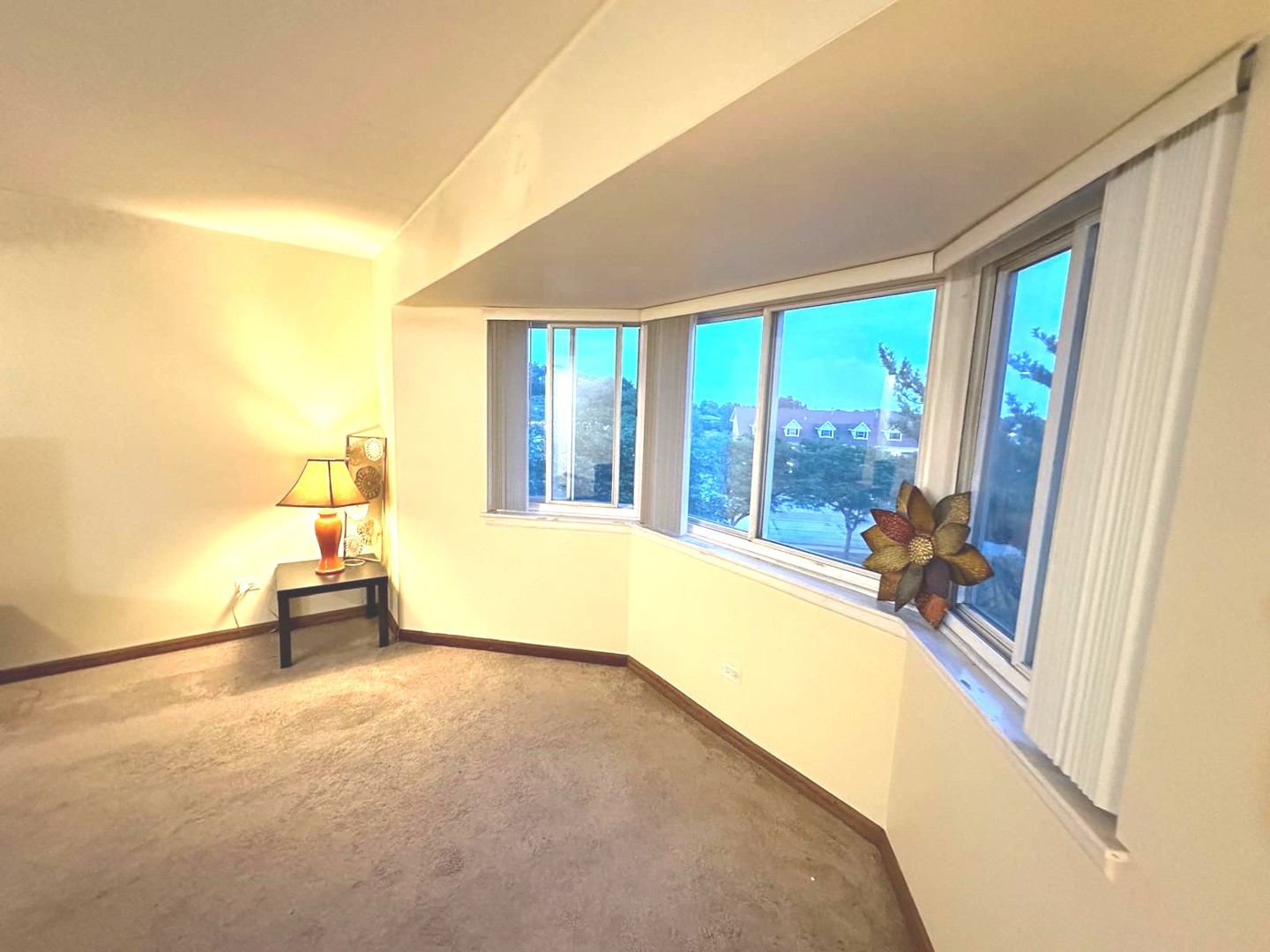 300 Roselle Road 419 Property Photo 3