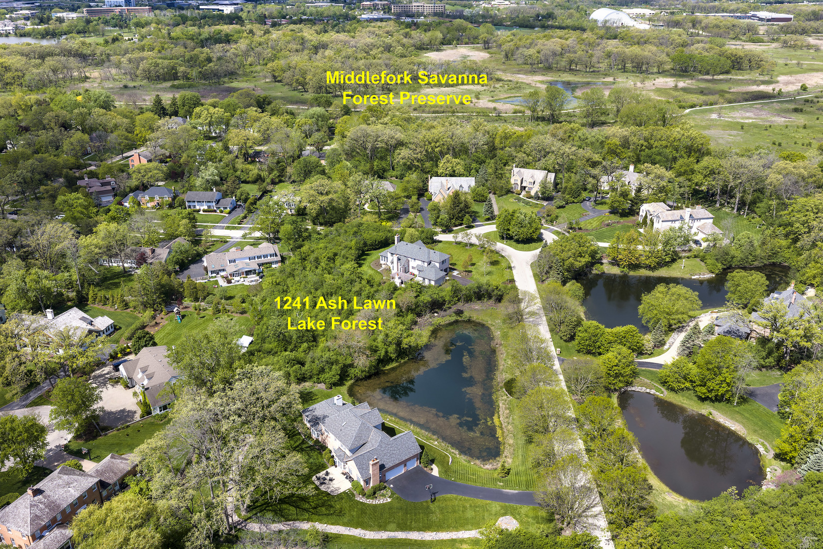 1241 Ash Lawn Drive Property Photo 6