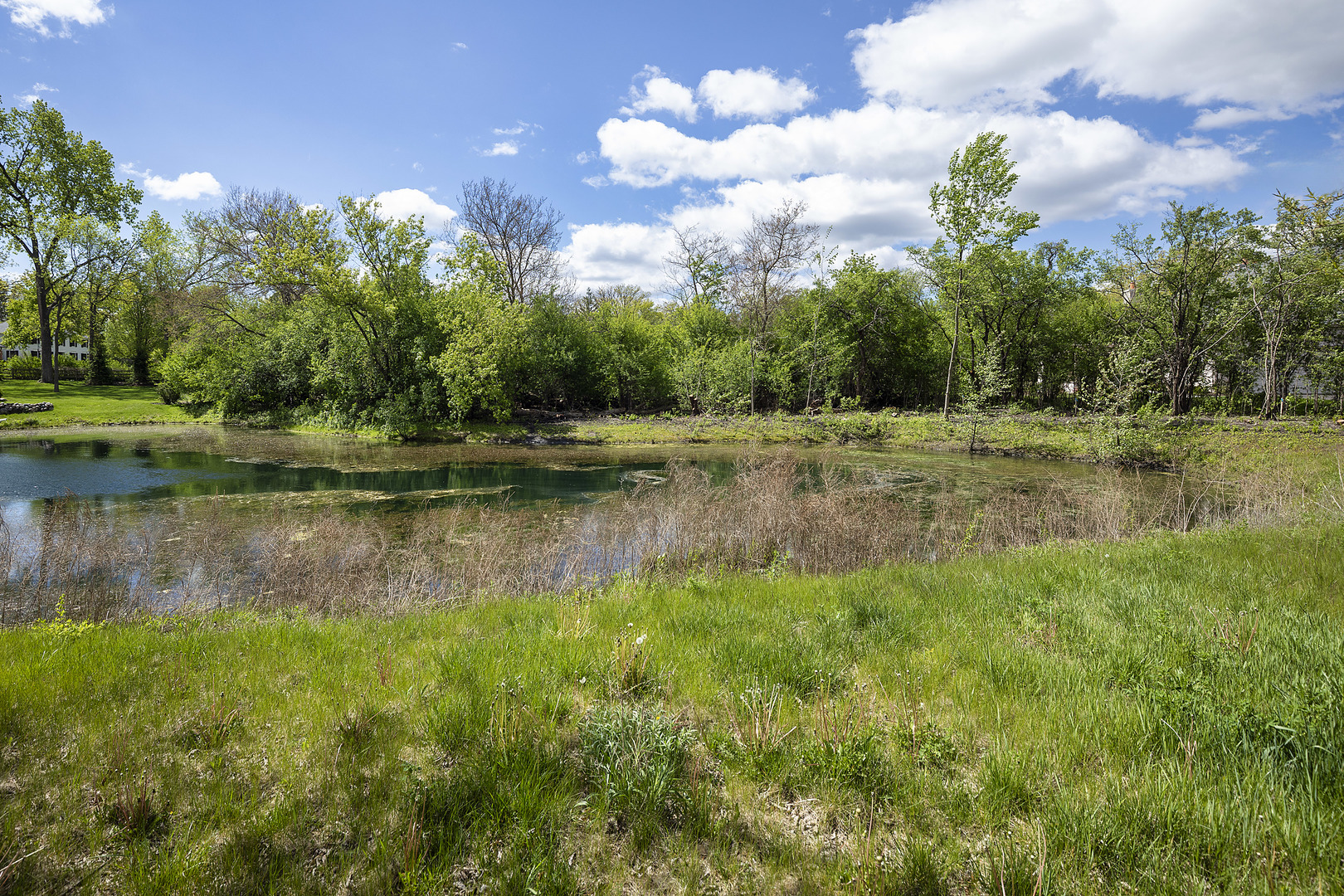 1241 Ash Lawn Drive Property Photo 9