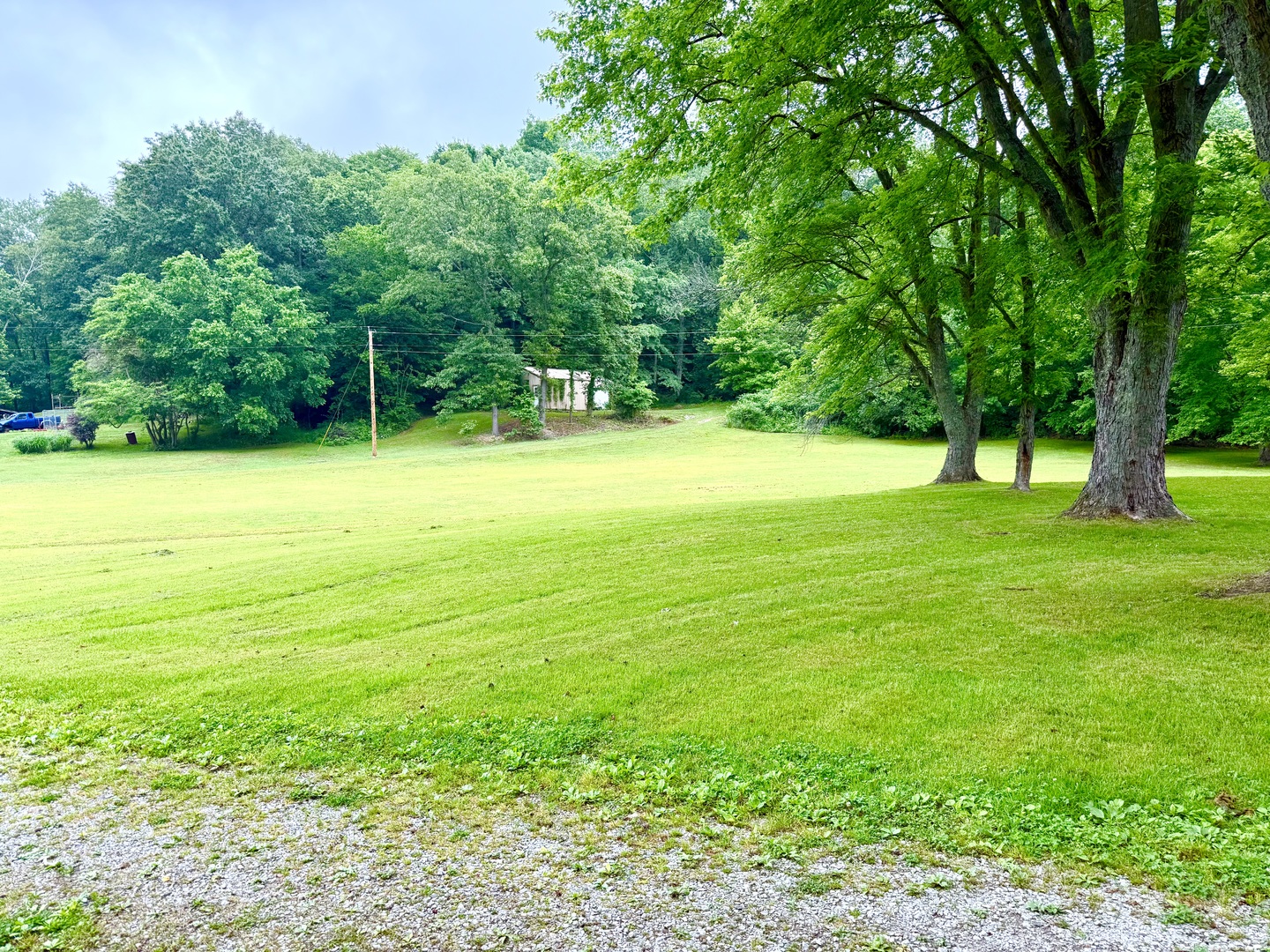 1470 Morgan School Road Property Photo 5
