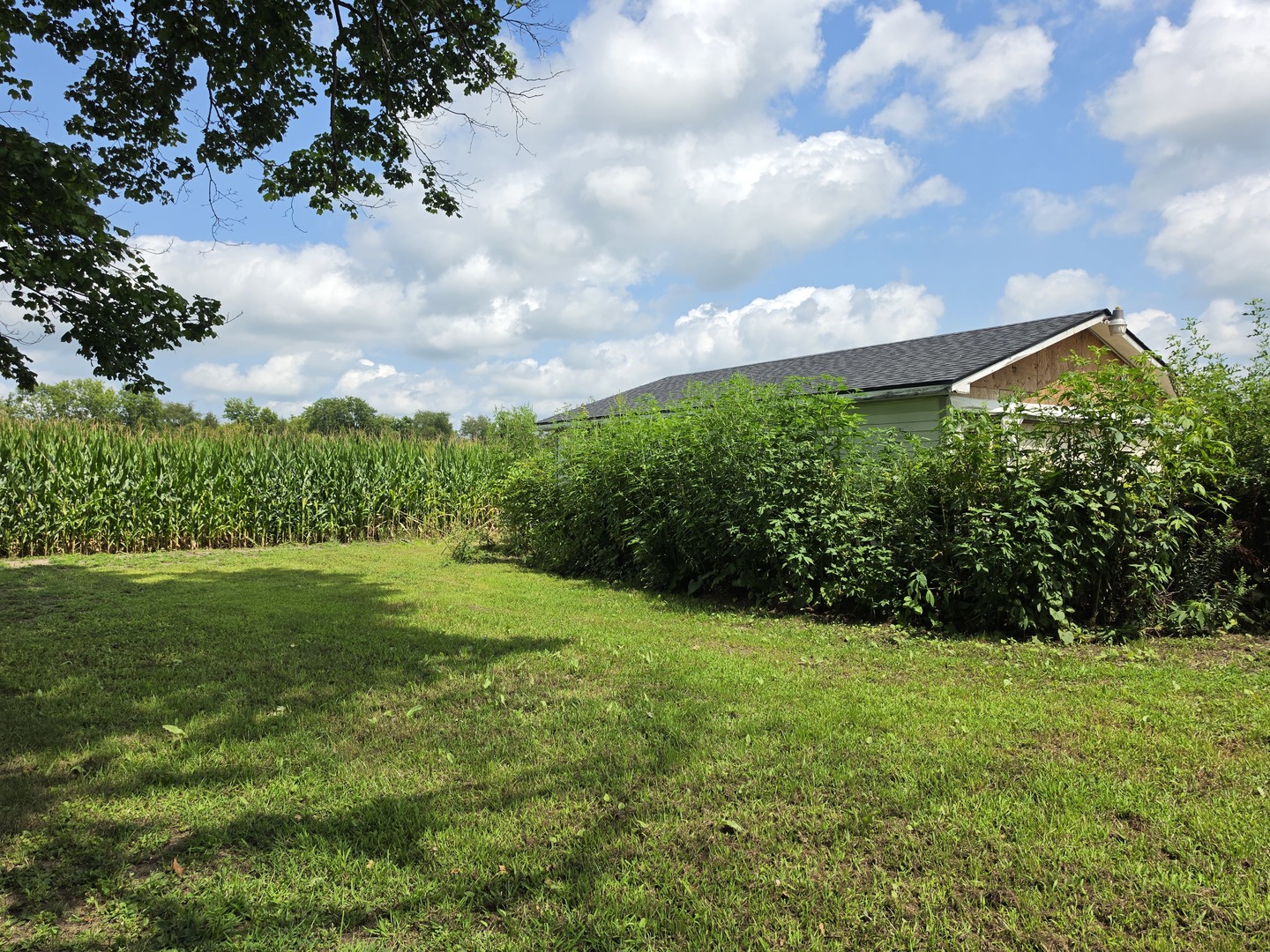 Lot 17 And Lot 18 W. North Street Property Photo 8