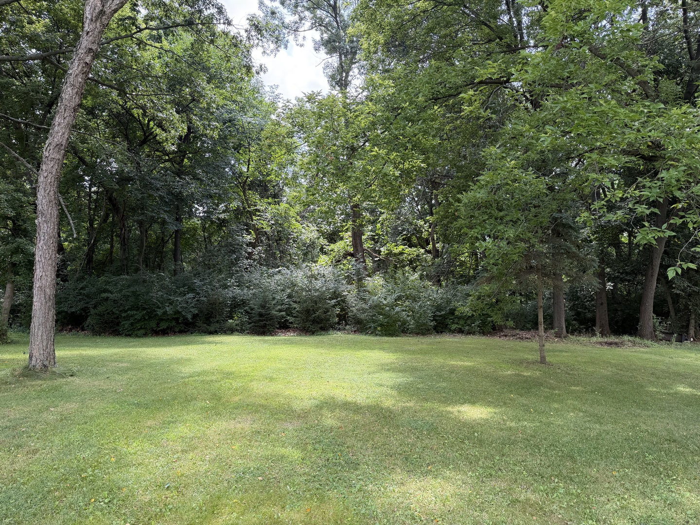 204 Griffin Place Property Photo 5