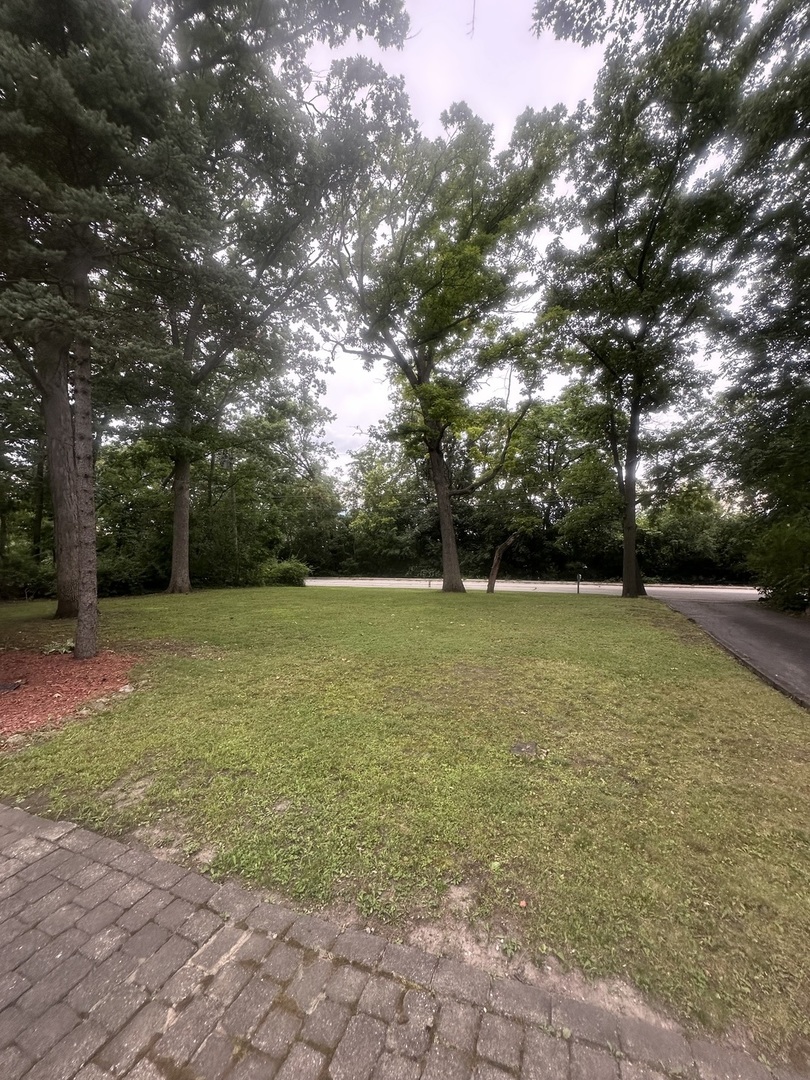 142 School Street Property Photo 4