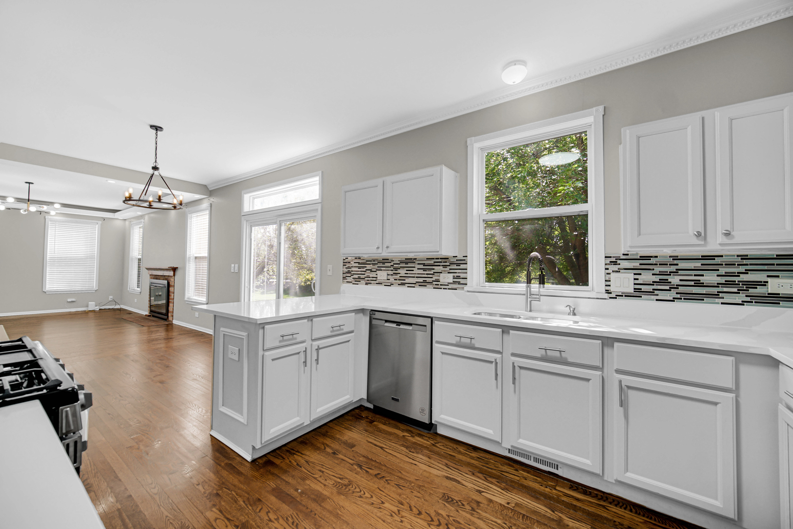 1421 Richmond Lane Property Photo 4