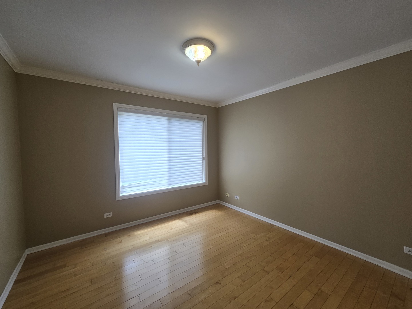 217 Lexington Court Property Photo 16