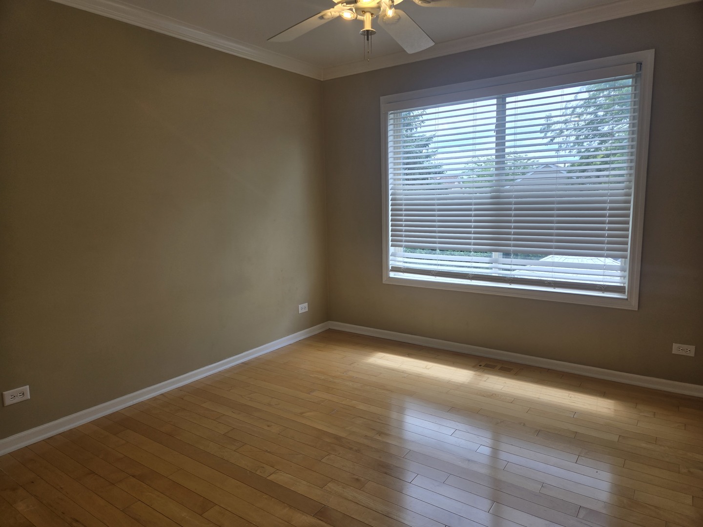 217 Lexington Court Property Photo 17