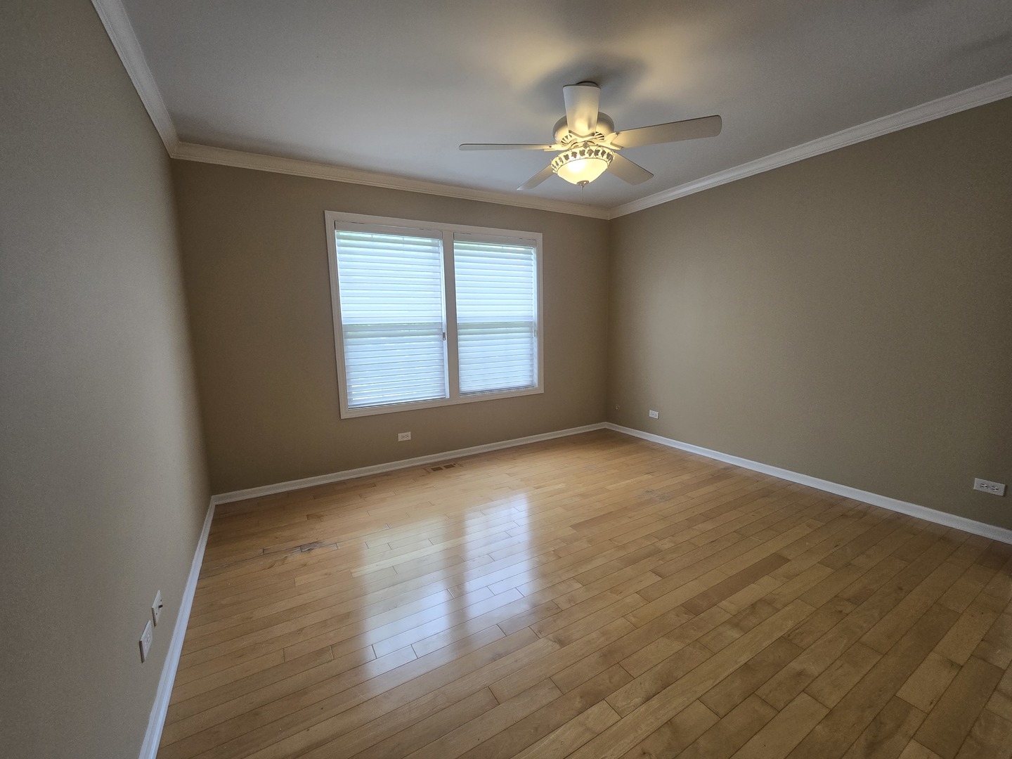 217 Lexington Court Property Photo 18