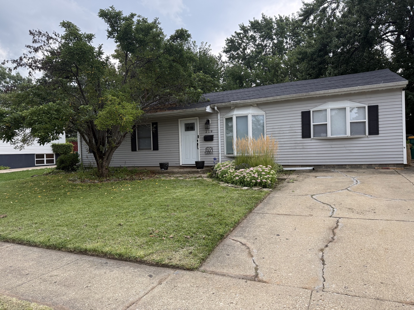 219 Murphy Drive Property Photo 2