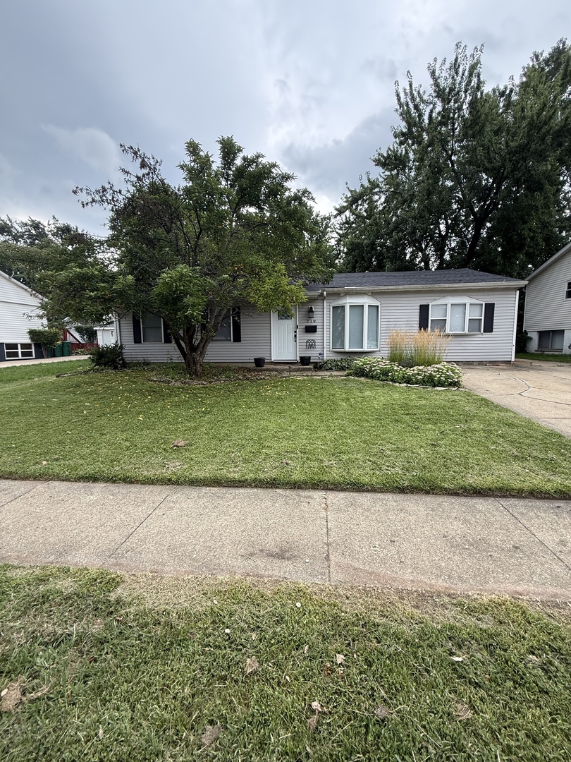 219 Murphy Drive Property Photo 18