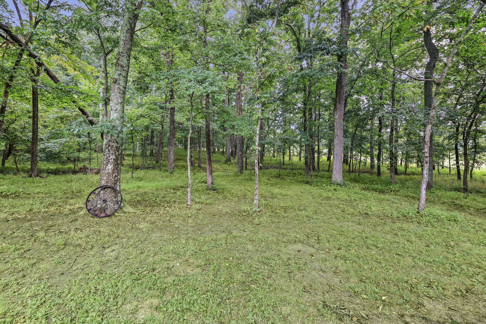 5016 Kell Road Property Photo 7