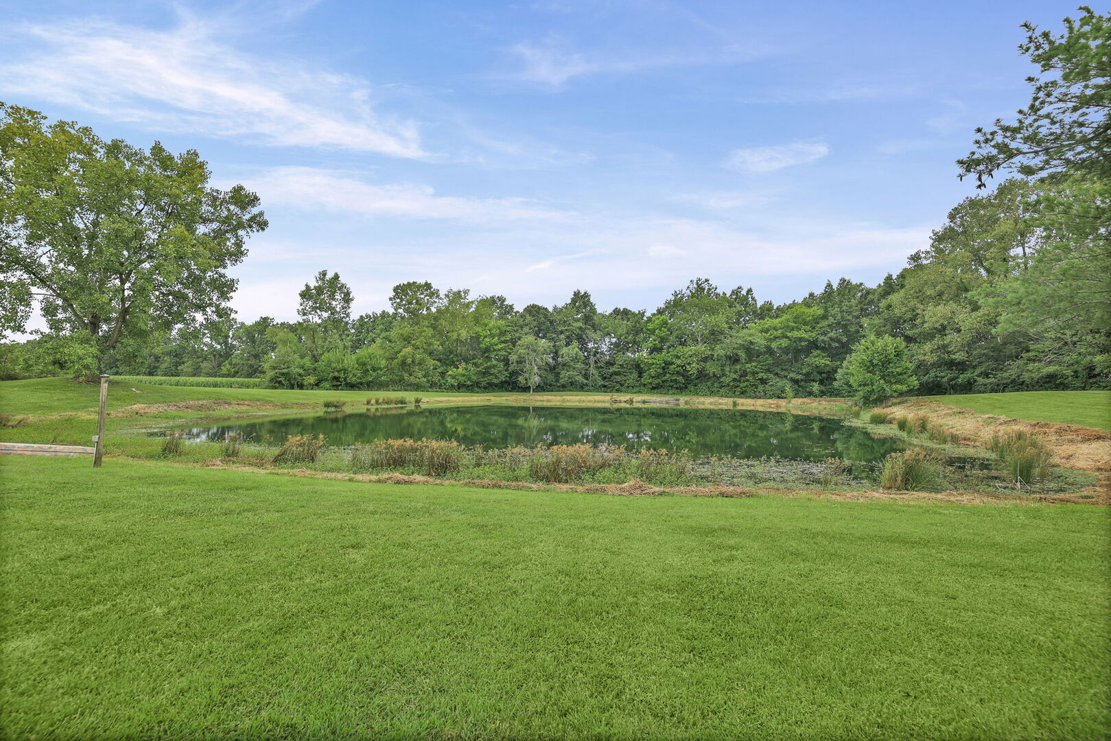 4568 State Route 161 Extension Property Photo 4