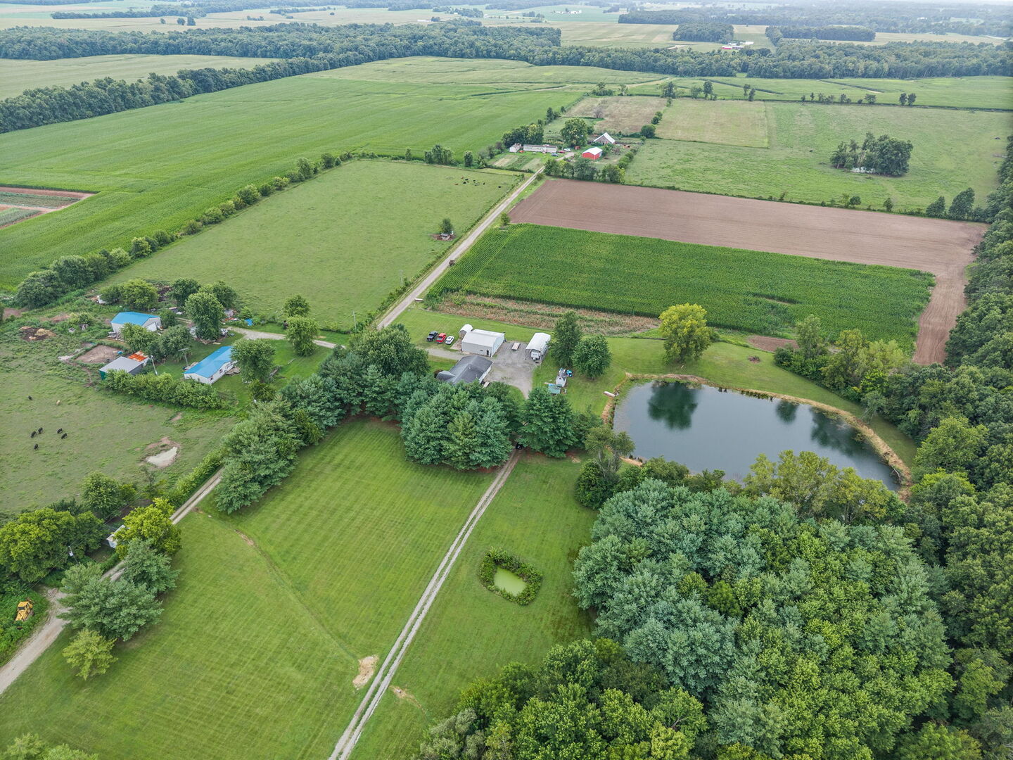 4568 State Route 161 Extension Property Photo 49