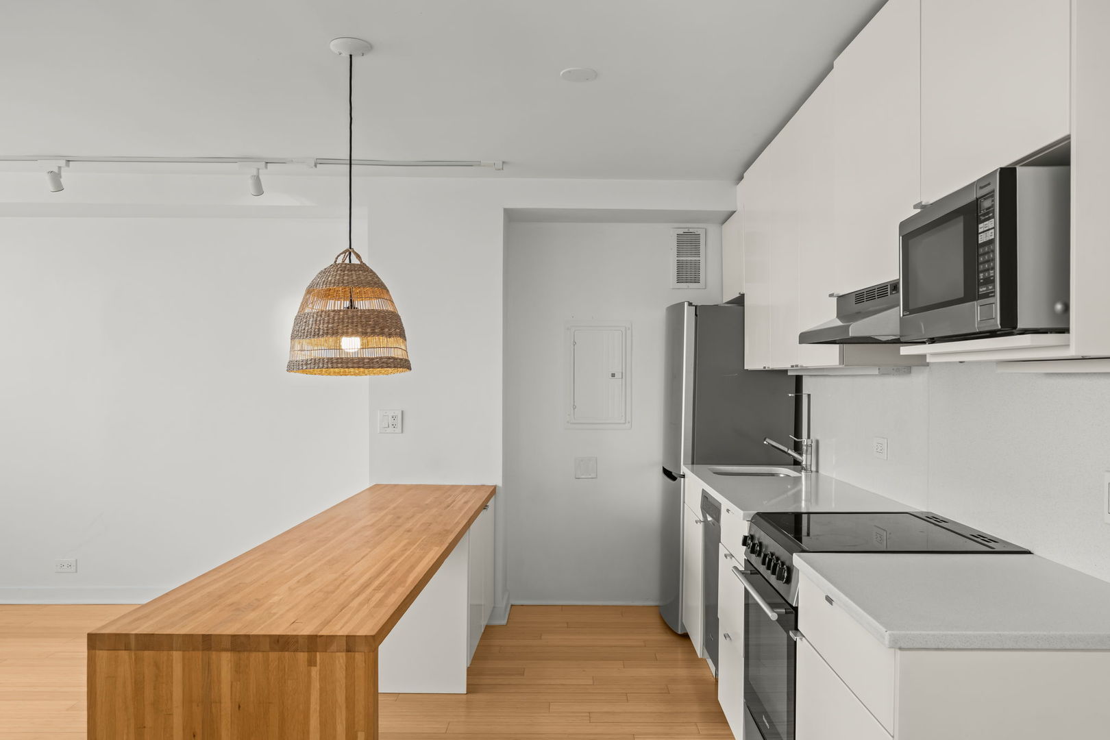 3950 N Lake Shore Drive 1908 Property Photo 6