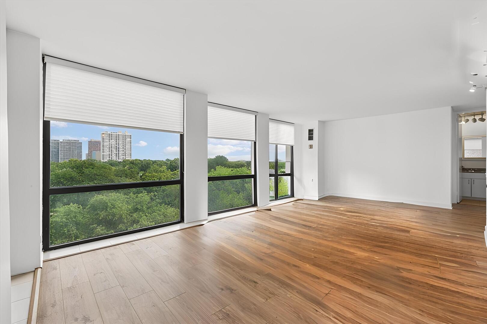 345 W Fullerton Parkway 1008 Property Photo 4