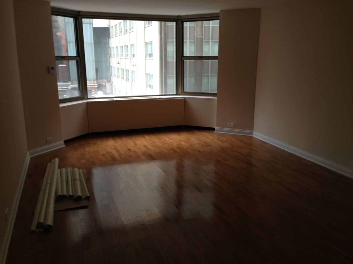 535 N Michigan Avenue 506 Property Photo 3