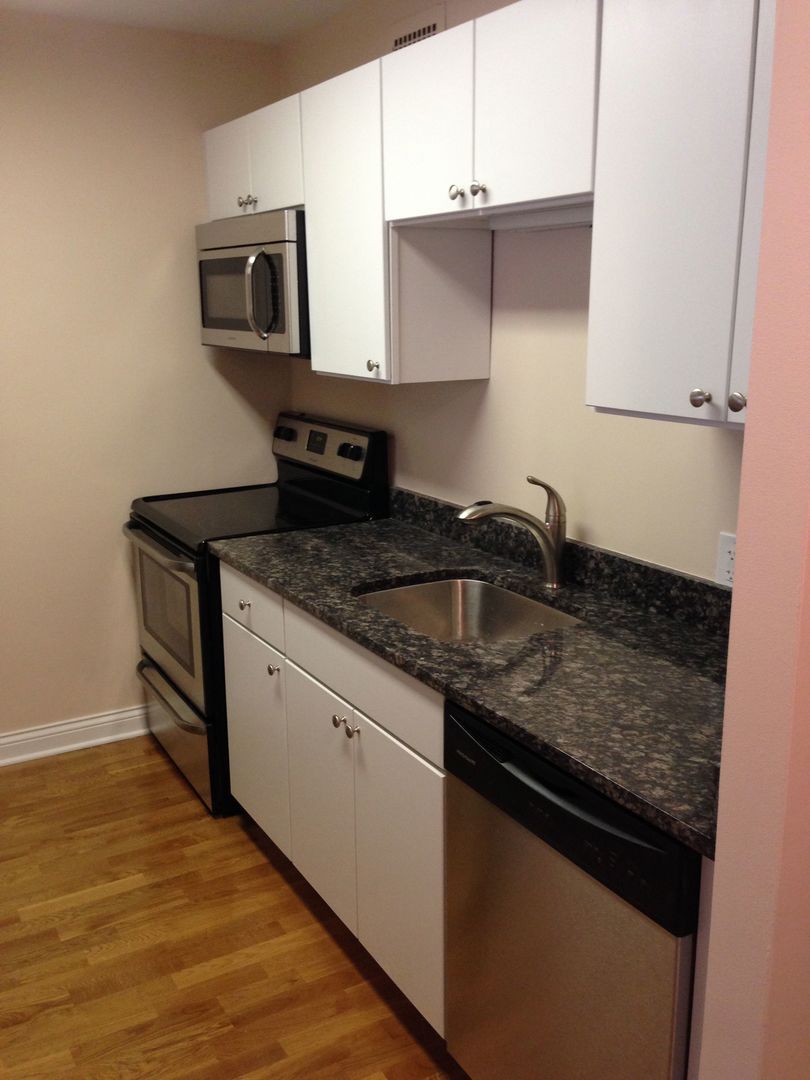 535 N Michigan Avenue 506 Property Photo 5