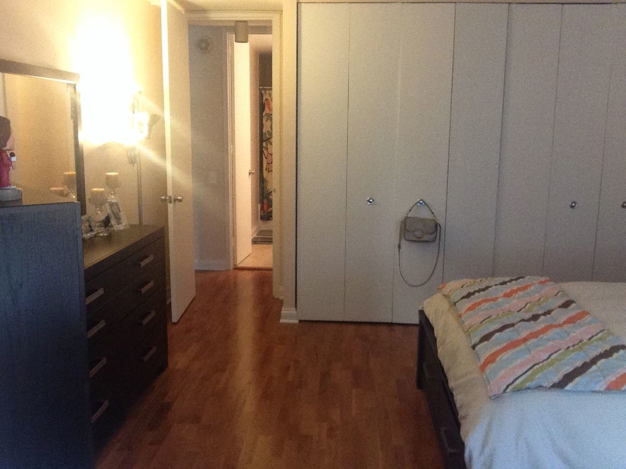 535 N Michigan Avenue 506 Property Photo 7