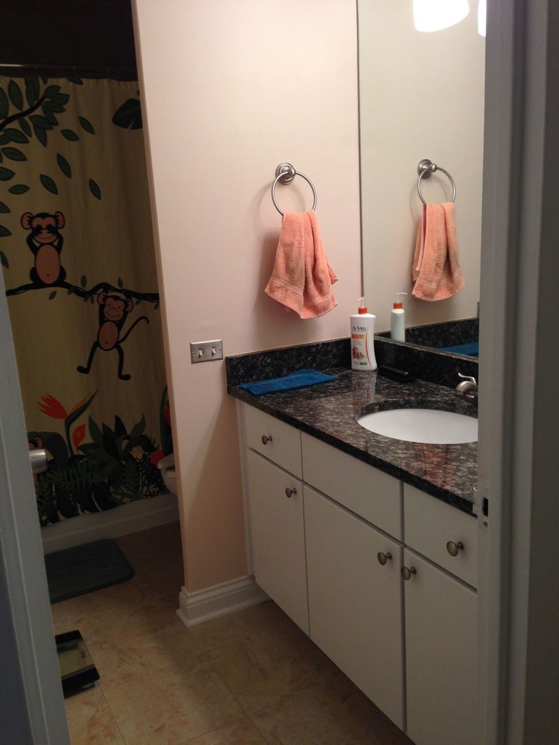 535 N Michigan Avenue 506 Property Photo 8