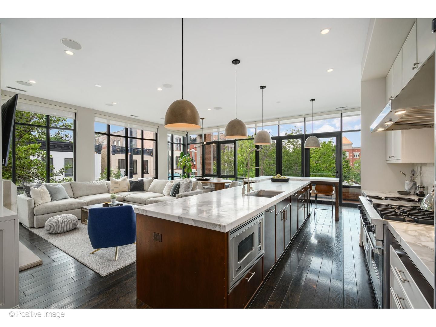 2117 N Halsted Street Ph Property Photo 3