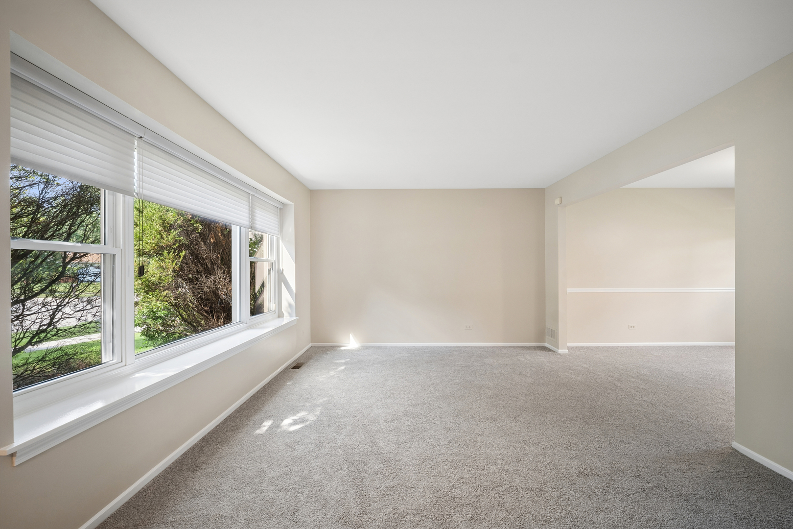 894 Thompson Boulevard Property Photo 3