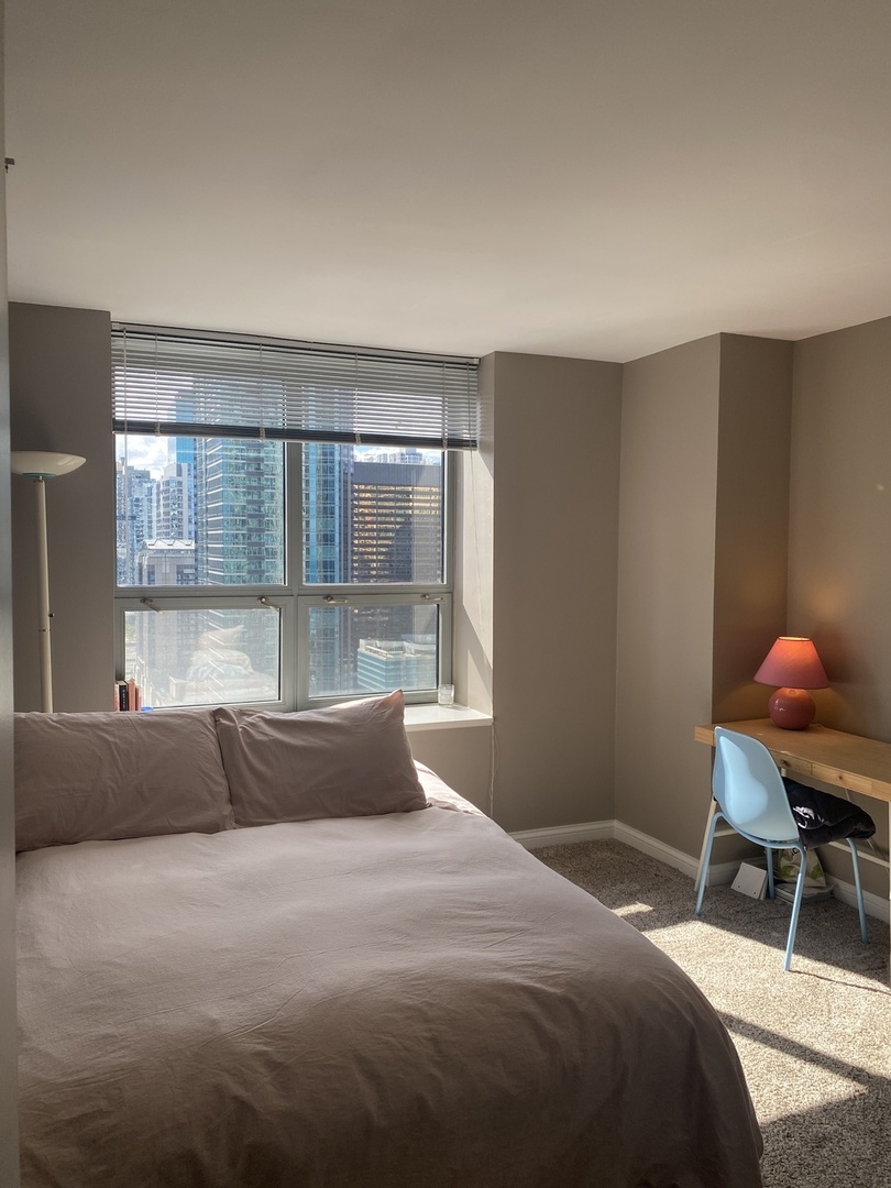 474 N Lake Shore Drive 3102 Property Photo 12