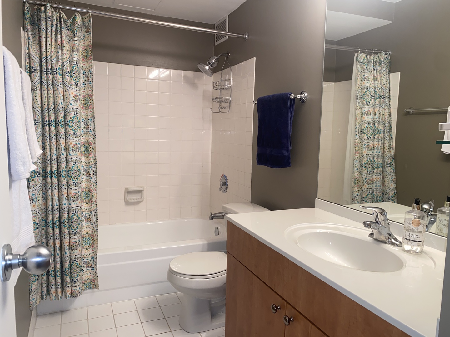 474 N Lake Shore Drive 3102 Property Photo 14