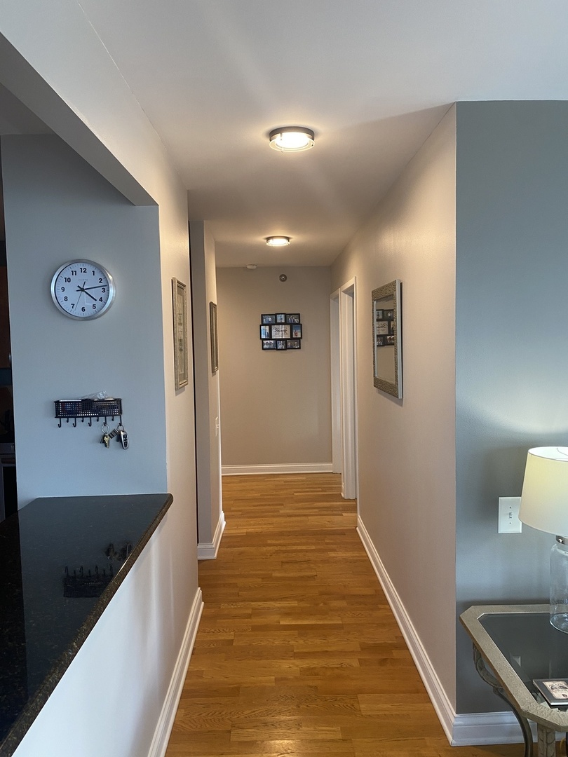 474 N Lake Shore Drive 3102 Property Photo 15