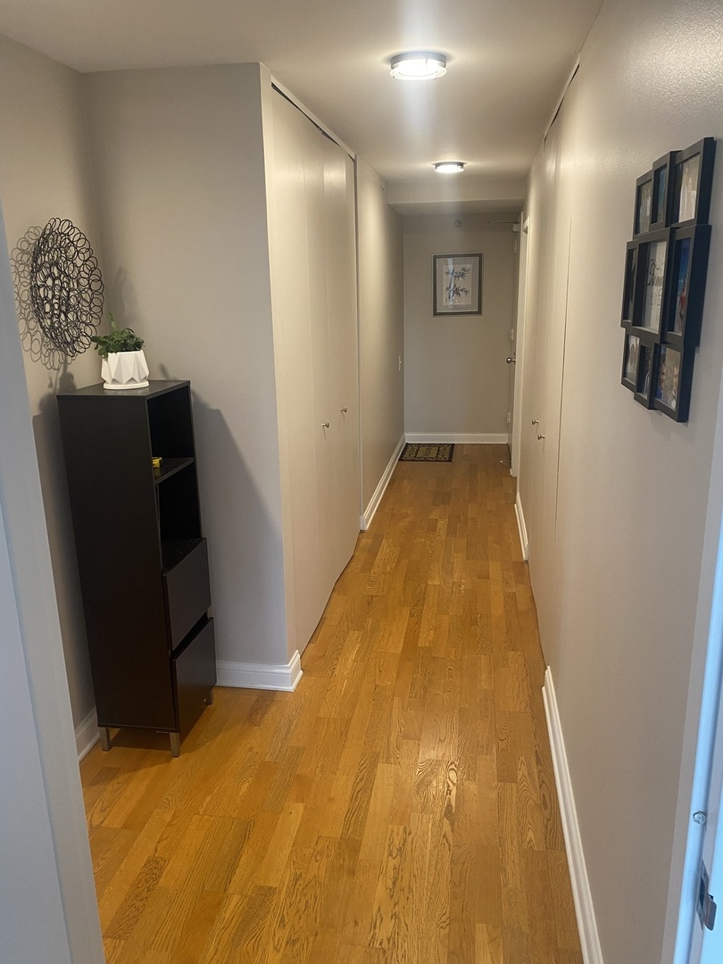 474 N Lake Shore Drive 3102 Property Photo 16