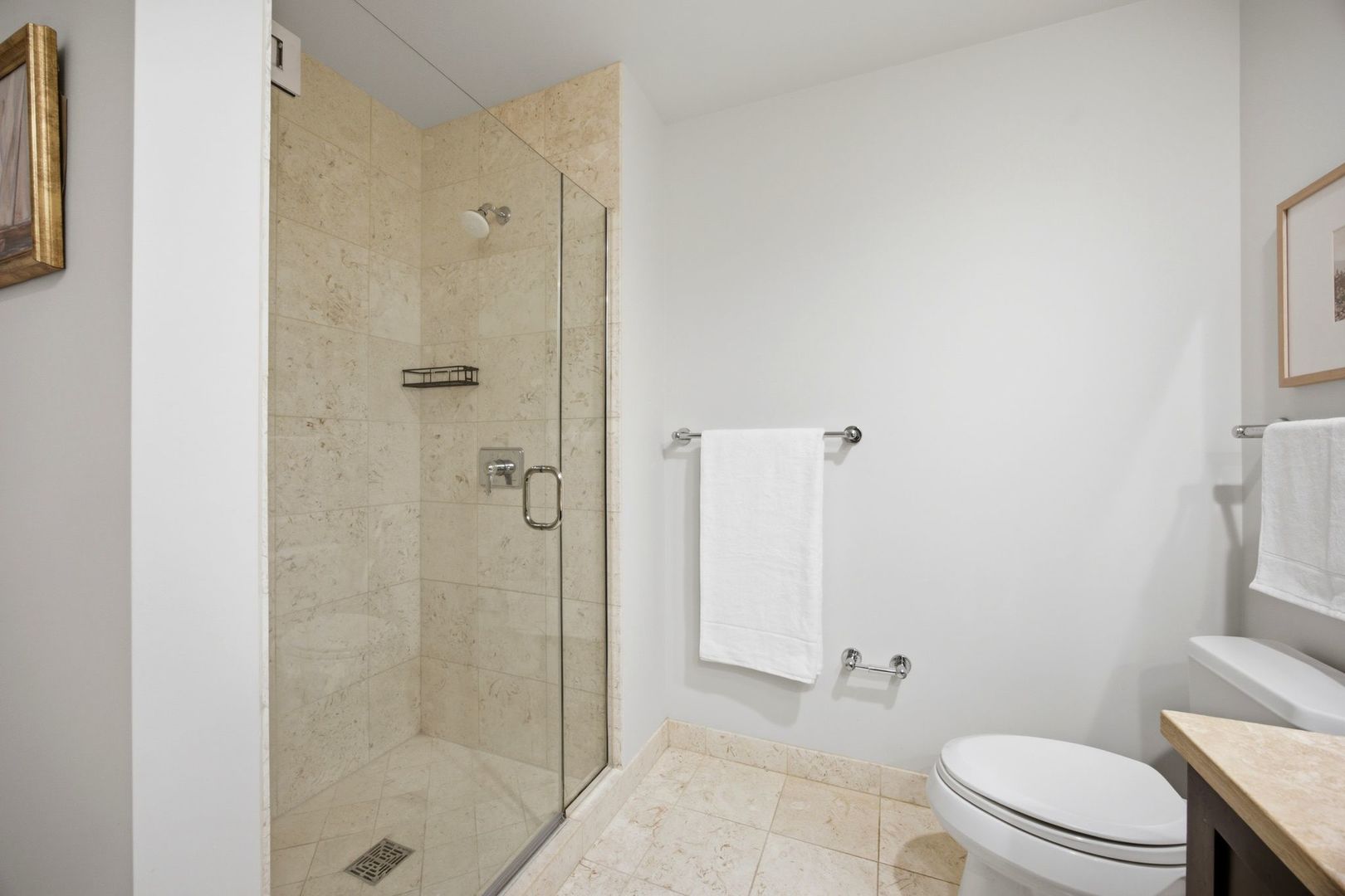 60 E Monroe Street 5703 Property Photo 17