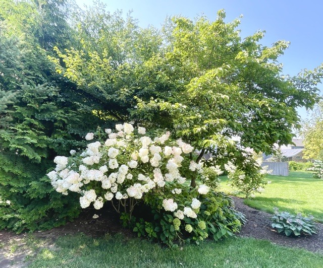 215 Chasse Circle Property Photo 34