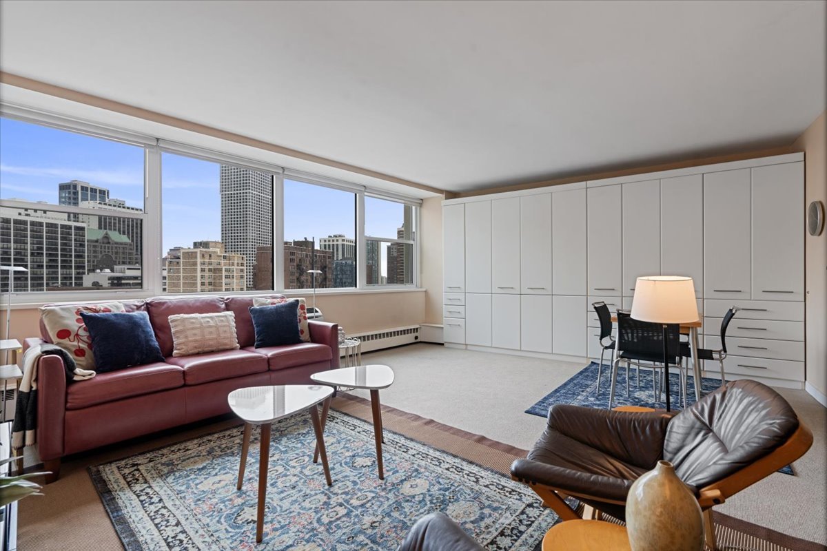 1150 N Lake Shore Drive 18j Property Photo 3