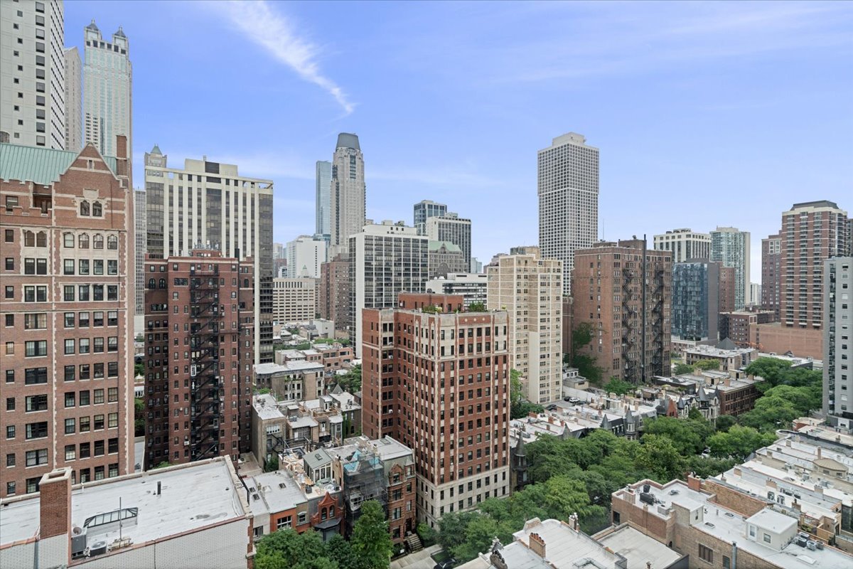 1150 N Lake Shore Drive 18j Property Photo 4
