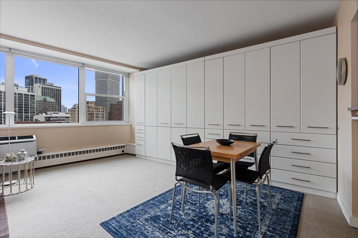 1150 N Lake Shore Drive 18j Property Photo 5
